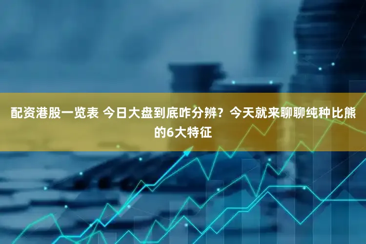 配资港股一览表 今日大盘到底咋分辨？今天就来聊聊纯种比熊的6大特征