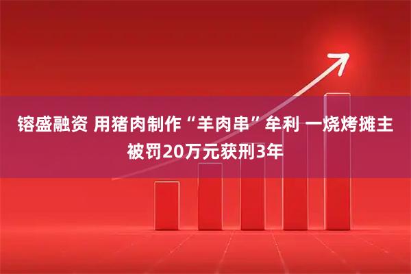 镕盛融资 用猪肉制作“羊肉串”牟利 一烧烤摊主被罚20万元获刑3年
