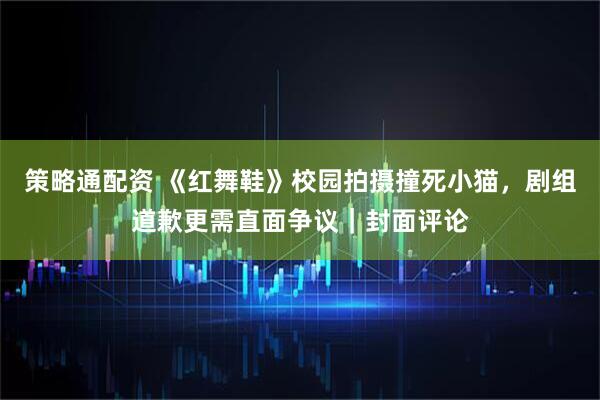 策略通配资 《红舞鞋》校园拍摄撞死小猫,剧组道歉更需直面争议|封面评论