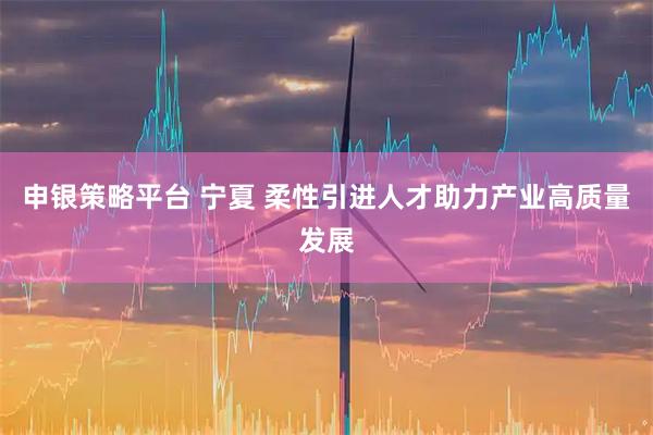 申银策略平台 宁夏 柔性引进人才助力产业高质量发展