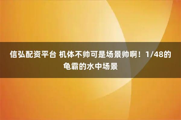 信弘配资平台 机体不帅可是场景帅啊！1/48的龟霸的水中场景
